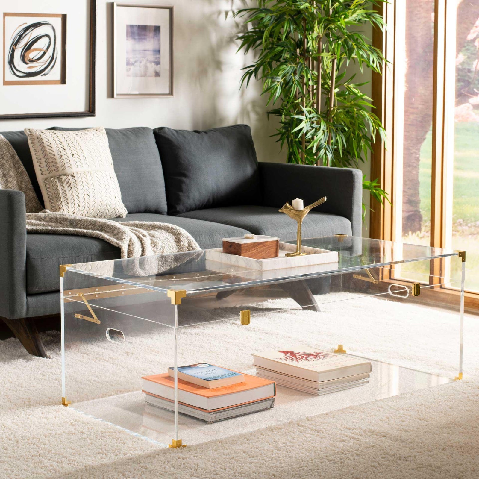 ACRYLIC TRANSPARENT TRUNK STYLE COFFEE TABLE