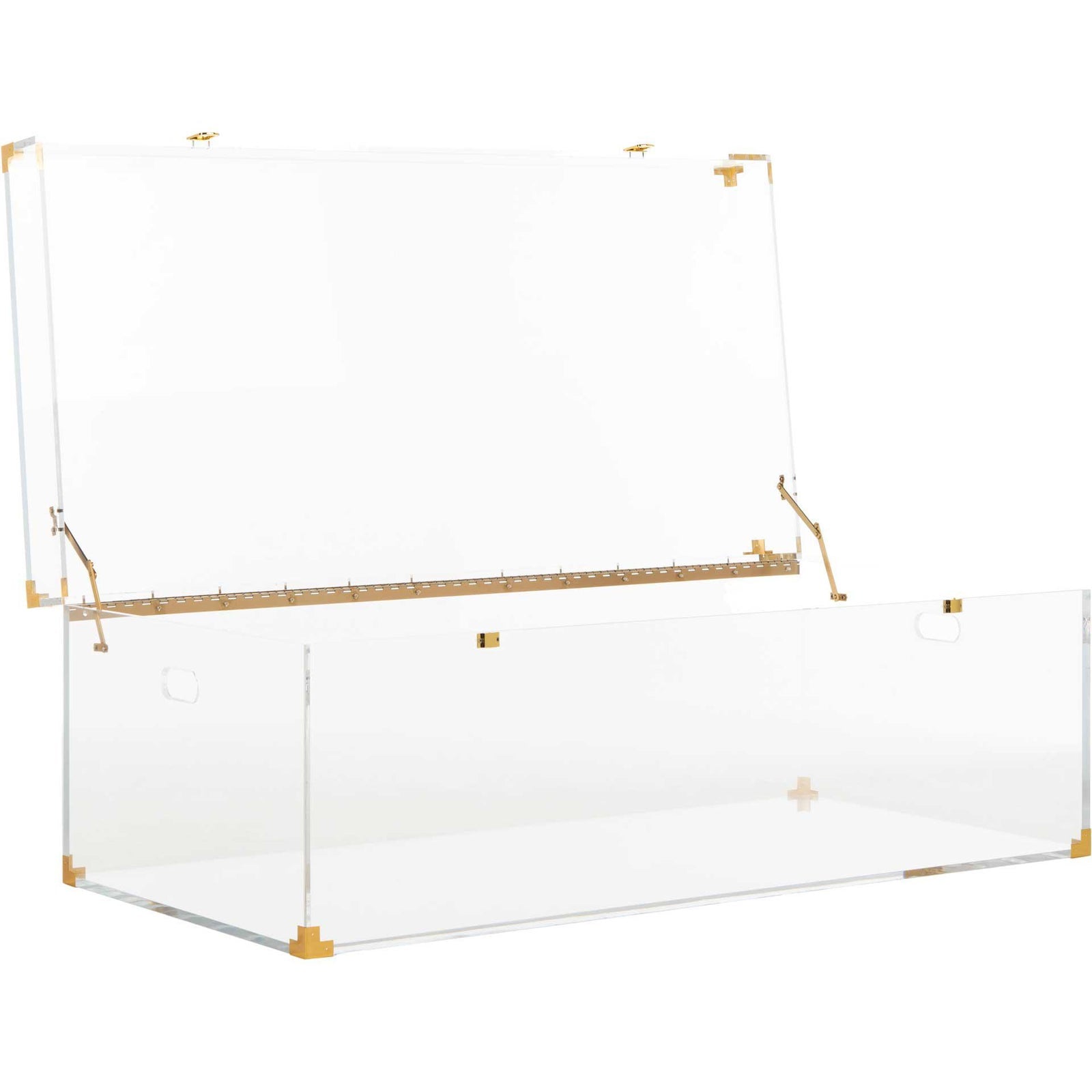 ACRYLIC TRANSPARENT TRUNK STYLE COFFEE TABLE