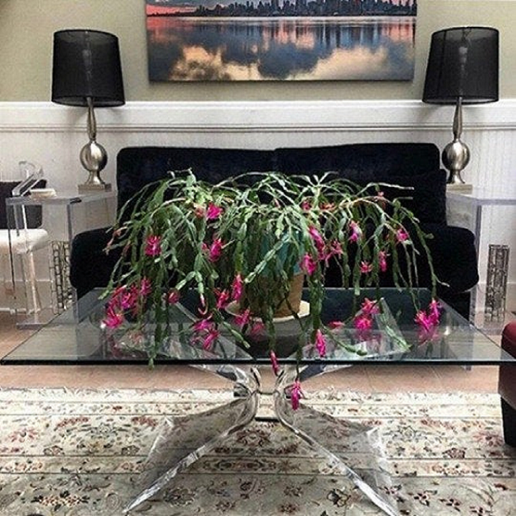 BUTTERFLY LEG LUCITE TABLE - bynuraybirtane