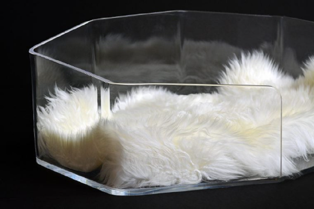 ACRYLiC PET BEDS - bynuraybirtane